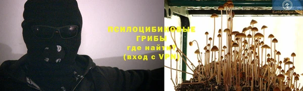 каннабис Арсеньев