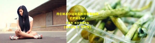 spice Армянск