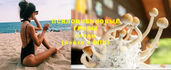 spice Армянск